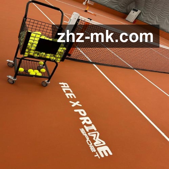 体育平台欢迎图